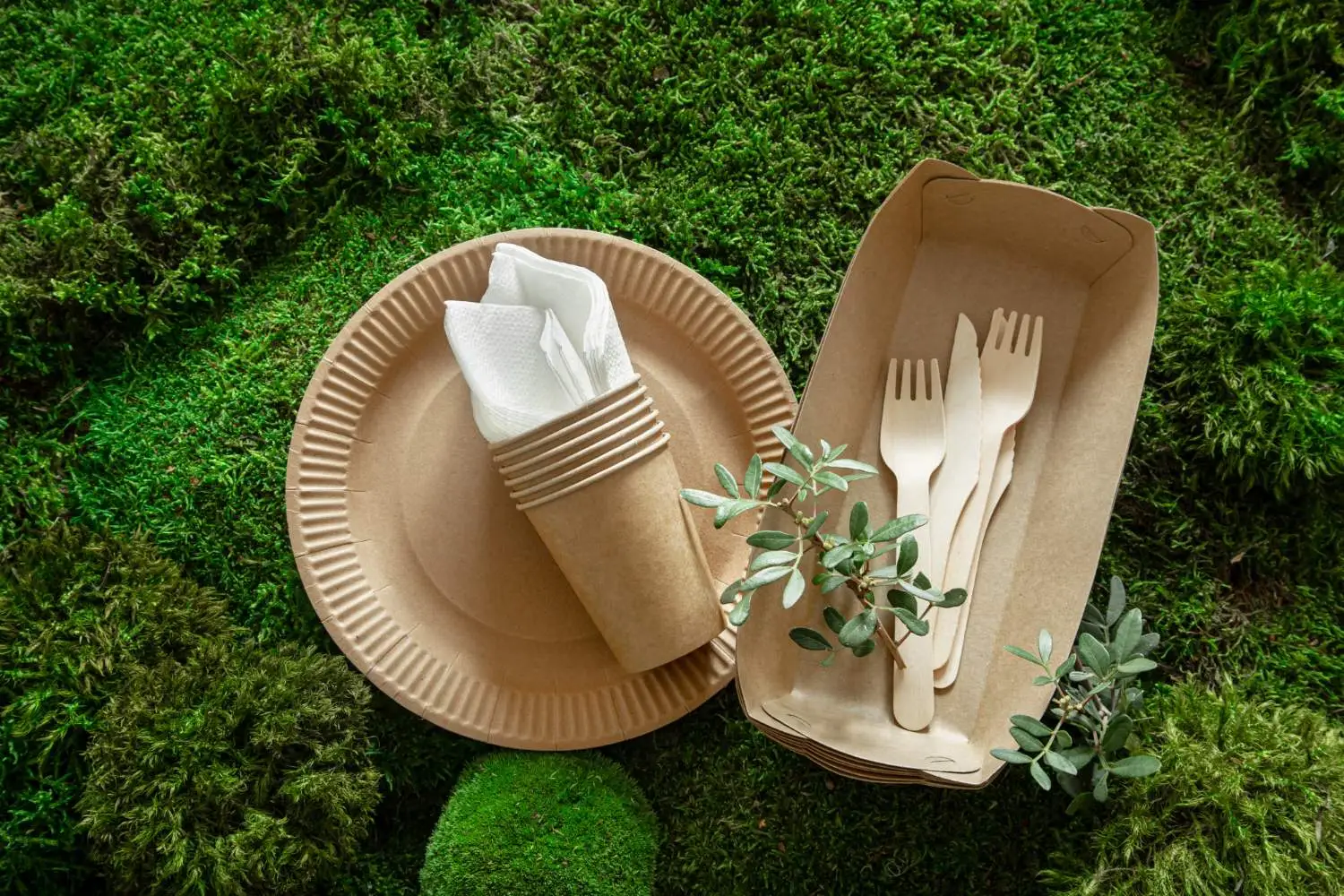 cubiertos biodegradables para eventos 