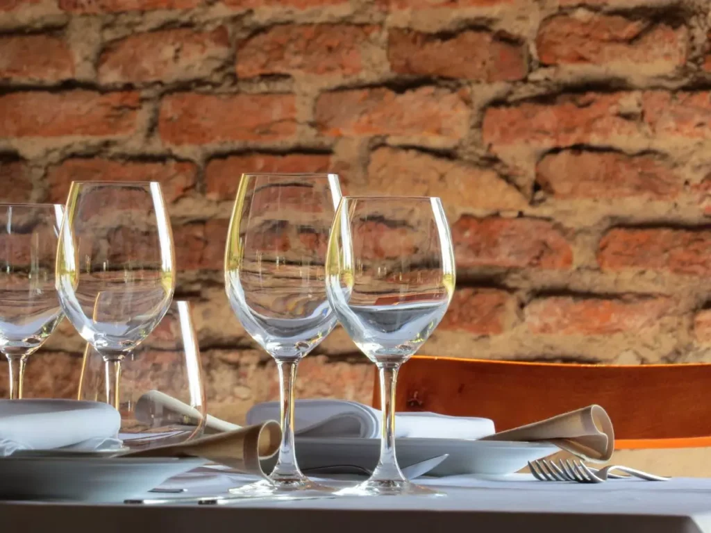 tipos-copas-de-vino